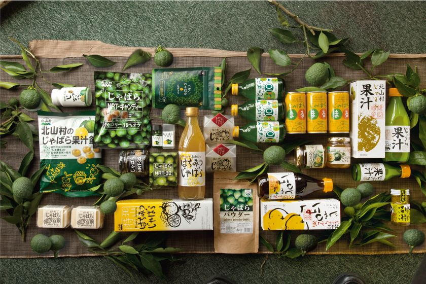 和歌山県北山村、注目増の特産柑橘「じゃばら」抽選販売を実施 20年4月