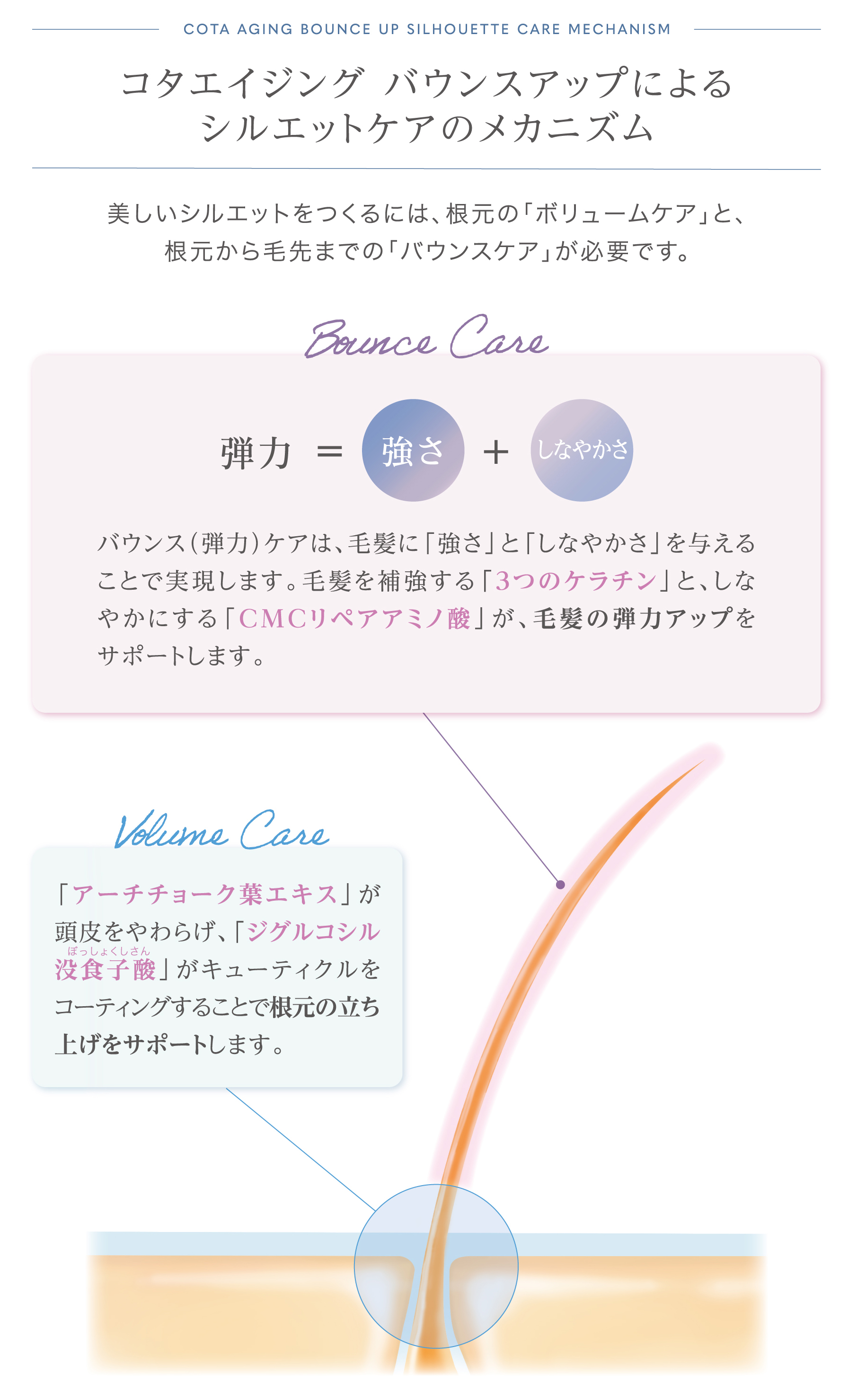 しなやかに 弾む 美しさをデザインする” シャンプー・トリートメント