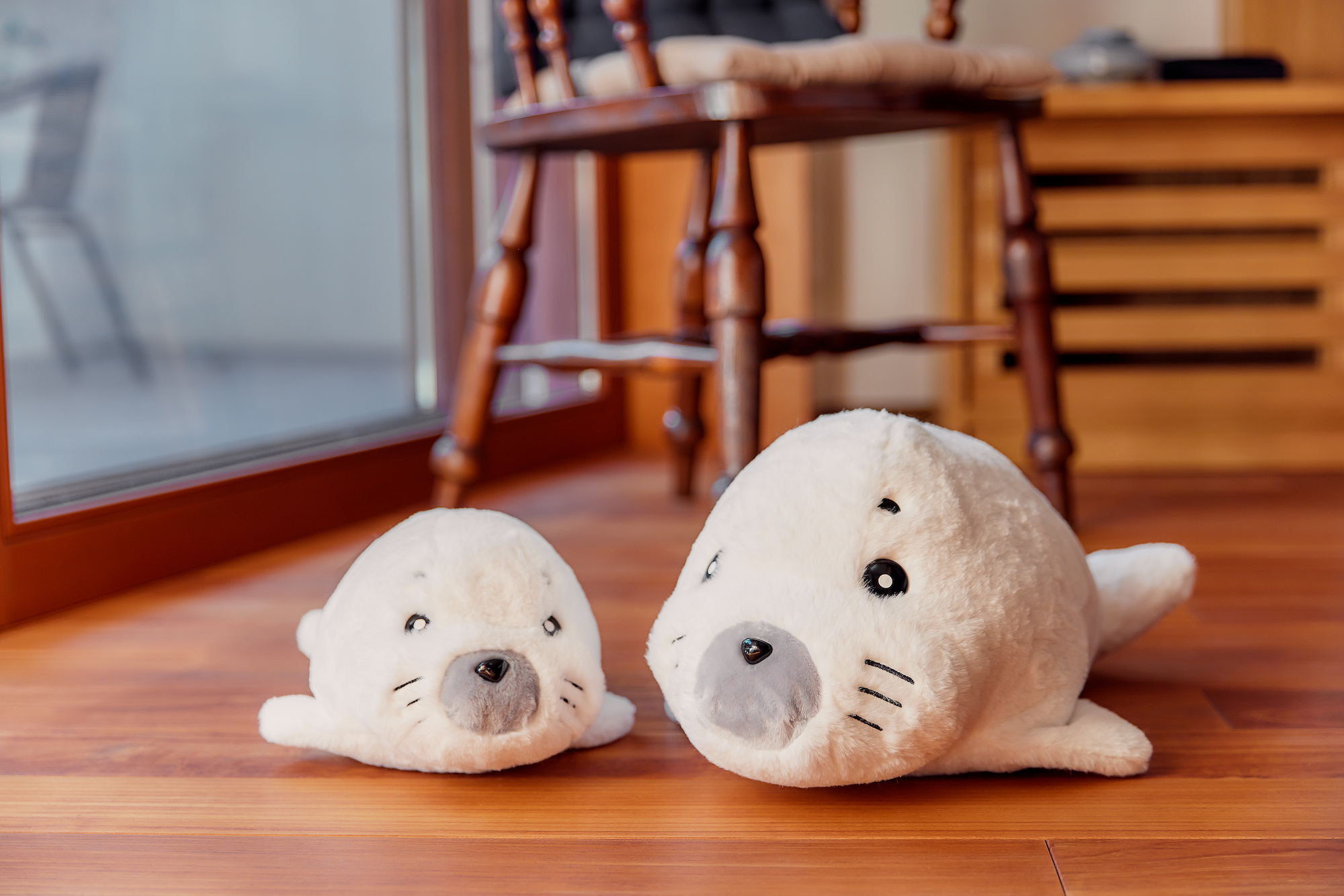 少年アシベ』35周年記念ゴマちゃんのぬいぐるみ クラウドファン