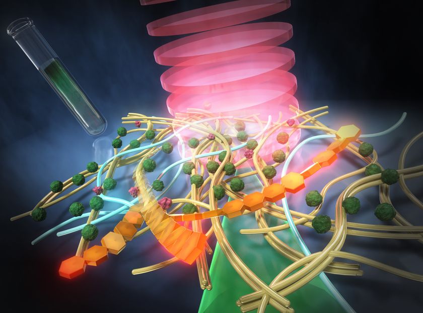 LL_img_372162_1.jpg?format=webp