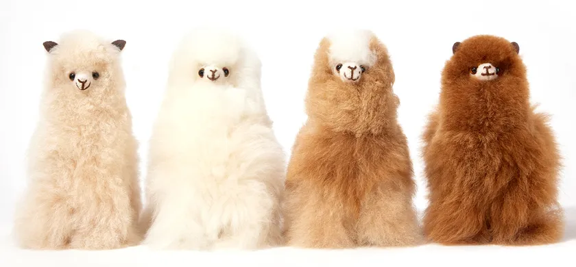 日本初上陸！幸せを運ぶアルパカの天然毛で作った 愛らしい“ぬいぐるみ