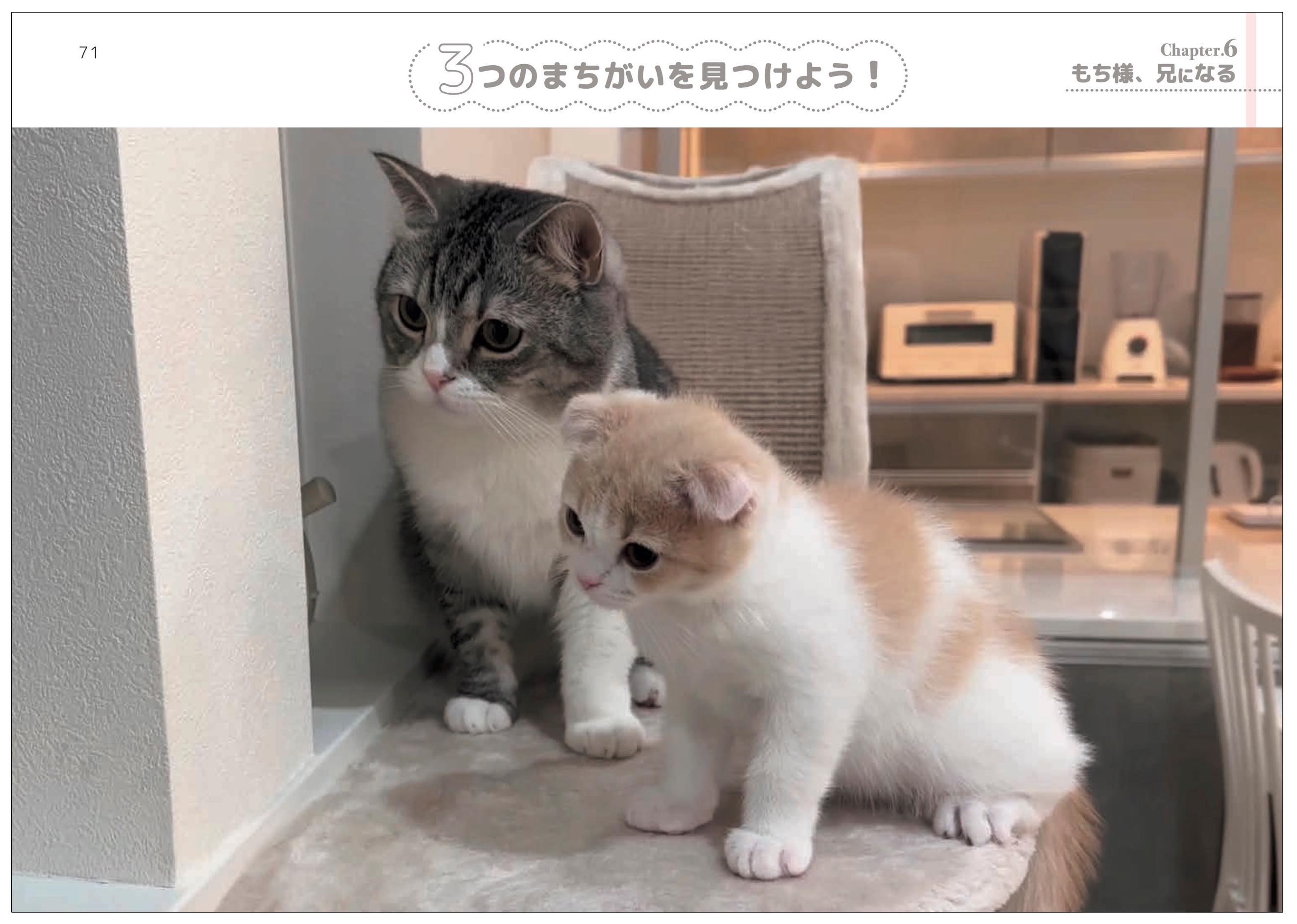 もちまる」をじっくり見てまちがいを見つけよう！！ チャンネル登録者