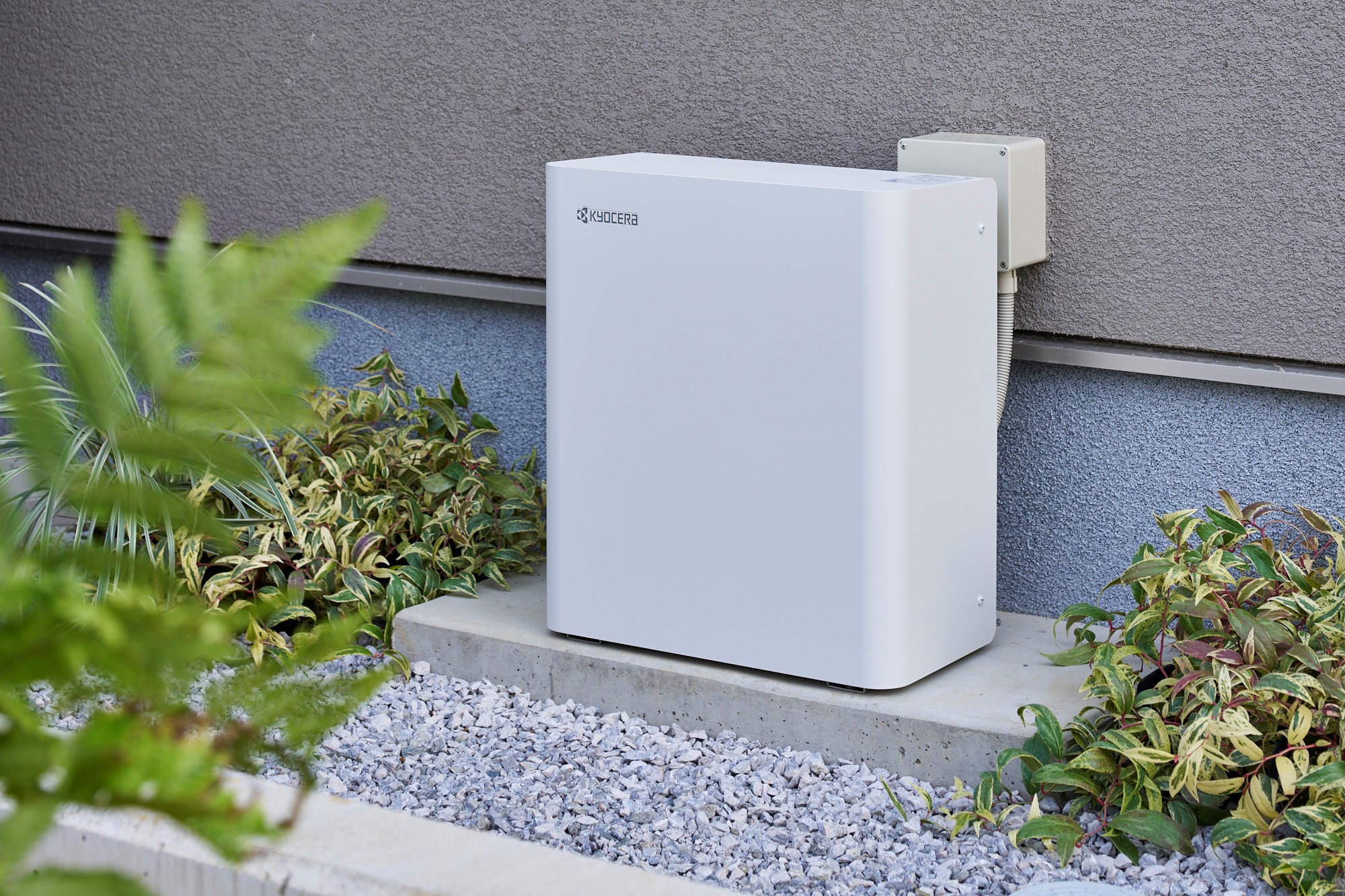 img_399420_2.jpg?format=webp&