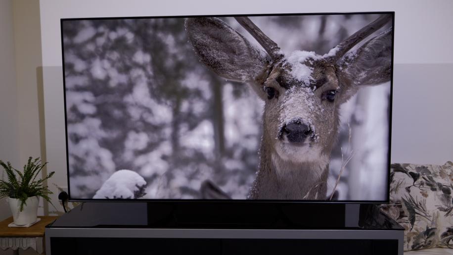 ジャンク品 Hisense 65V型 液晶テレビ U7N 液晶割れ ジャンク品