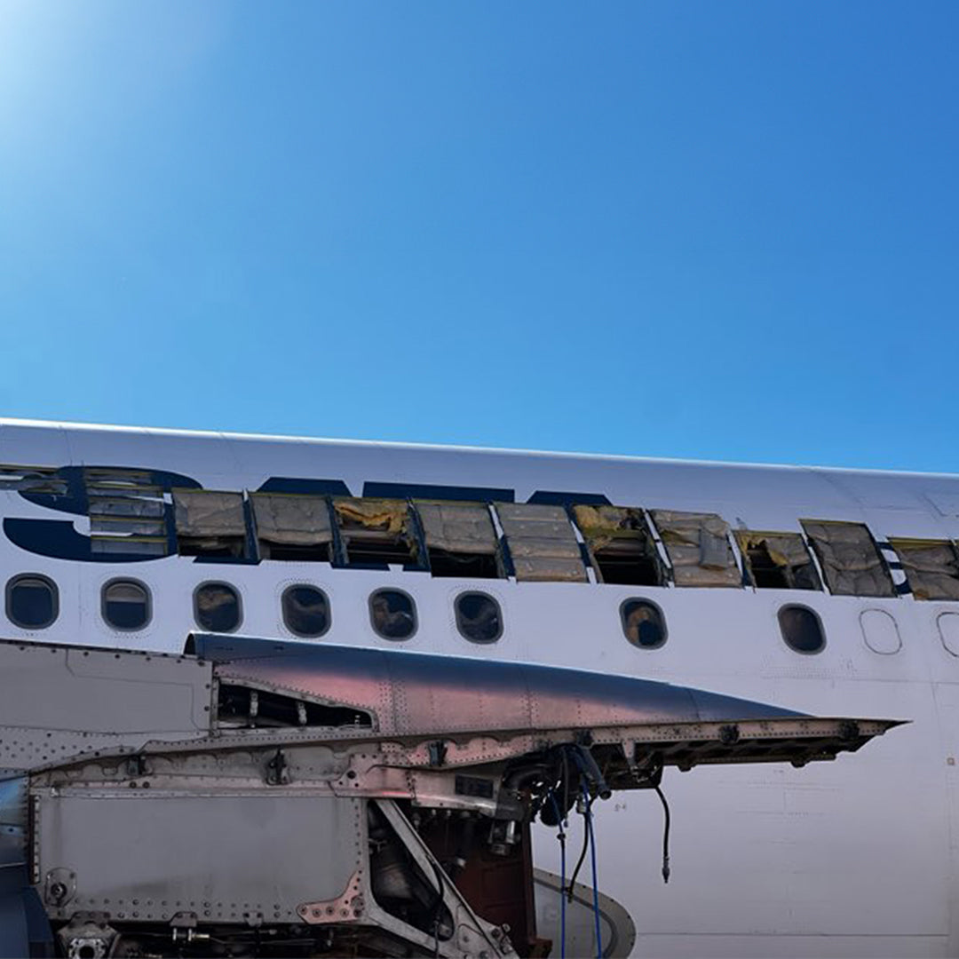 Aviationtag CS-TGV – Last Airbus A310 in European Service