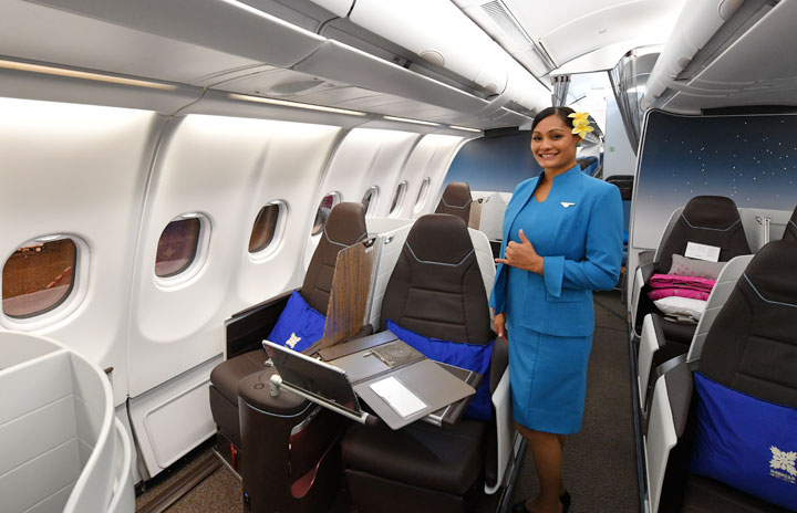 希少JAAハワイ便ブルーカラーキャビンアテンダント社員専用 即決