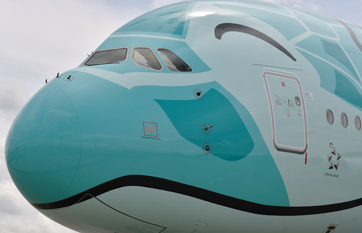 ほほえむウミガメ、まもなく就航 写真特集・ANA A380深緑の2号機成田到着