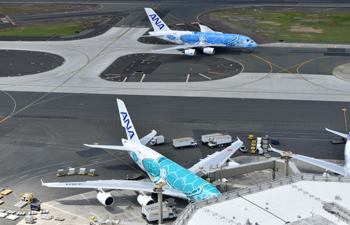 ANAのA380、7月から週14往復に 成田－ホノルル、3機完納で