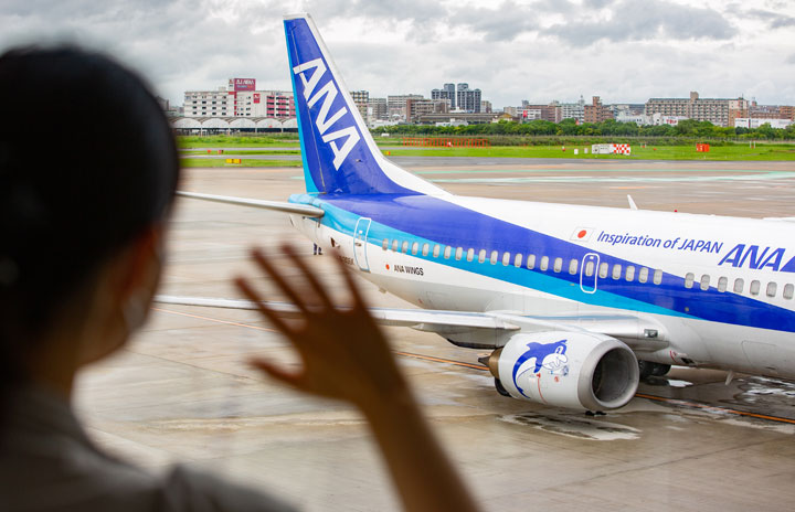 ANAの737-500スーパードルフィン最終便、福岡から羽田到着 25年間運航