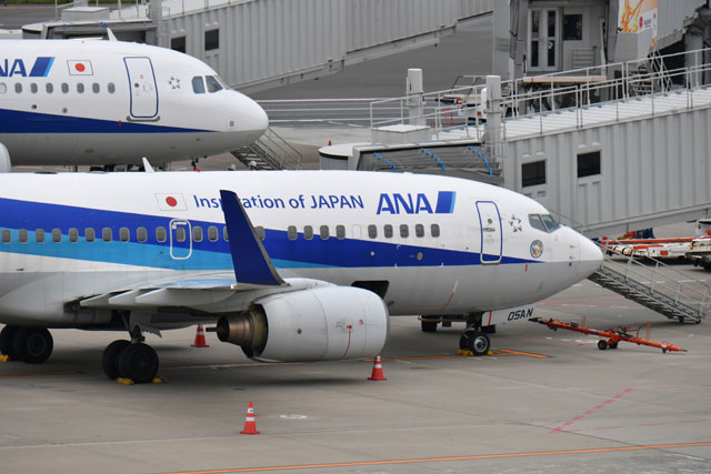ANA、退役デカール貼った737-700運航開始 リボンはゴールド