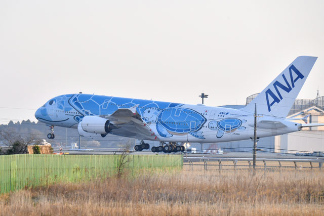 初の重整備迎えた空飛ぶウミガメ 特集・ANA A380就航2周年