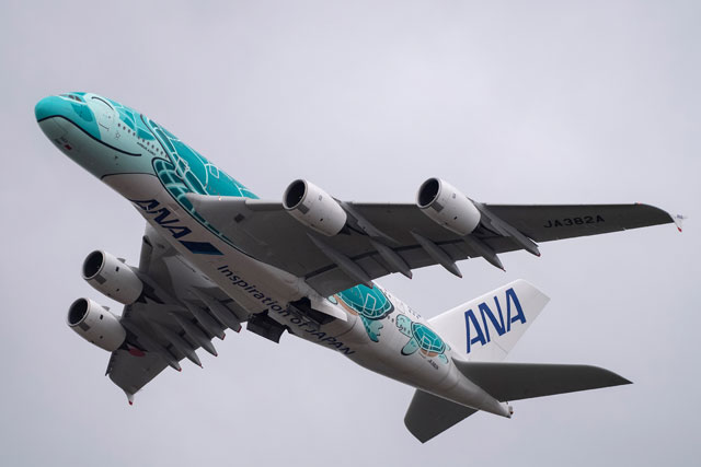 ANAのA380、関空で1年ぶり遊覧飛行 グリーンの2号機が西日本一周