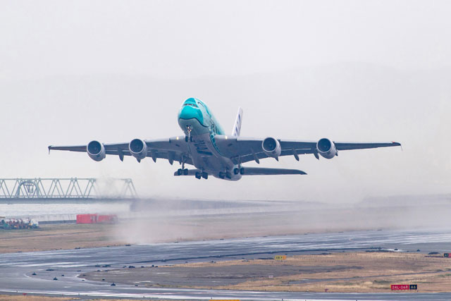 ANAのA380、関空で1年ぶり遊覧飛行 グリーンの2号機が西日本一周