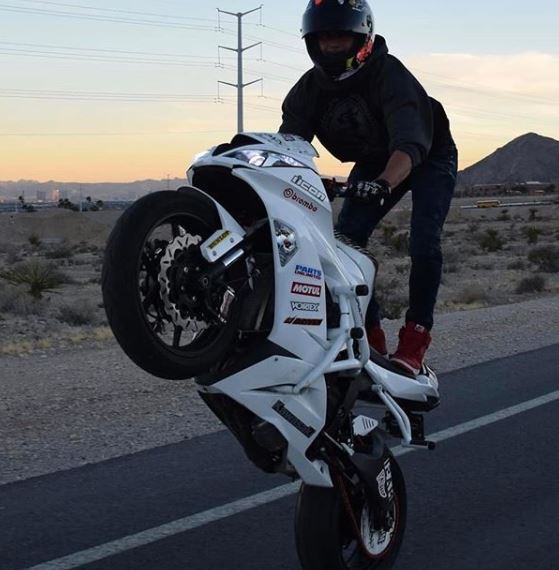 ZX-6R (13-23) デザインが美しい IMPAKTECH製 スタントケージ｜AxxL