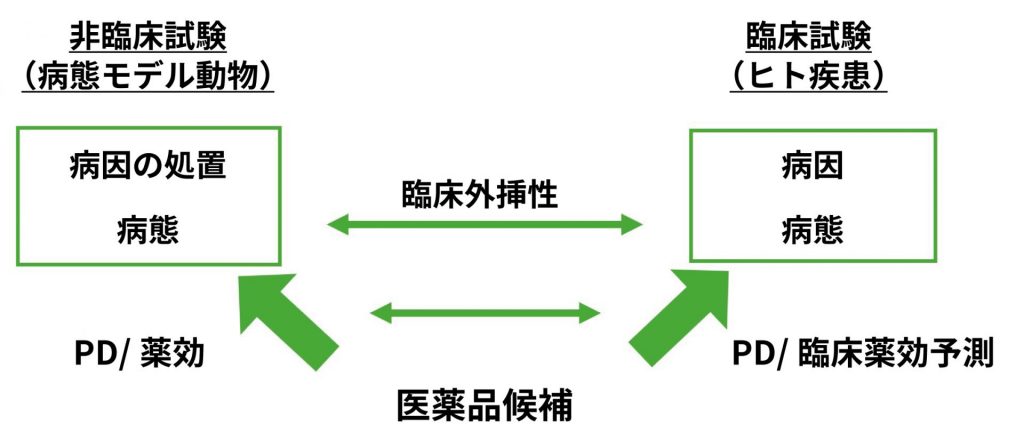 薬効評価の課題に対するソリューション - Axcelead Drug Discovery