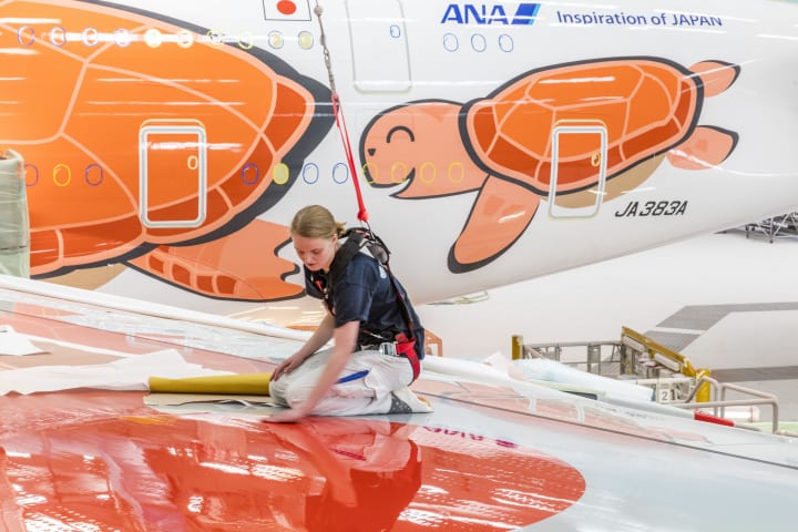 成田＝ホノルル間を就航するANAの「FLYING HONU」 ニューカラー「サン