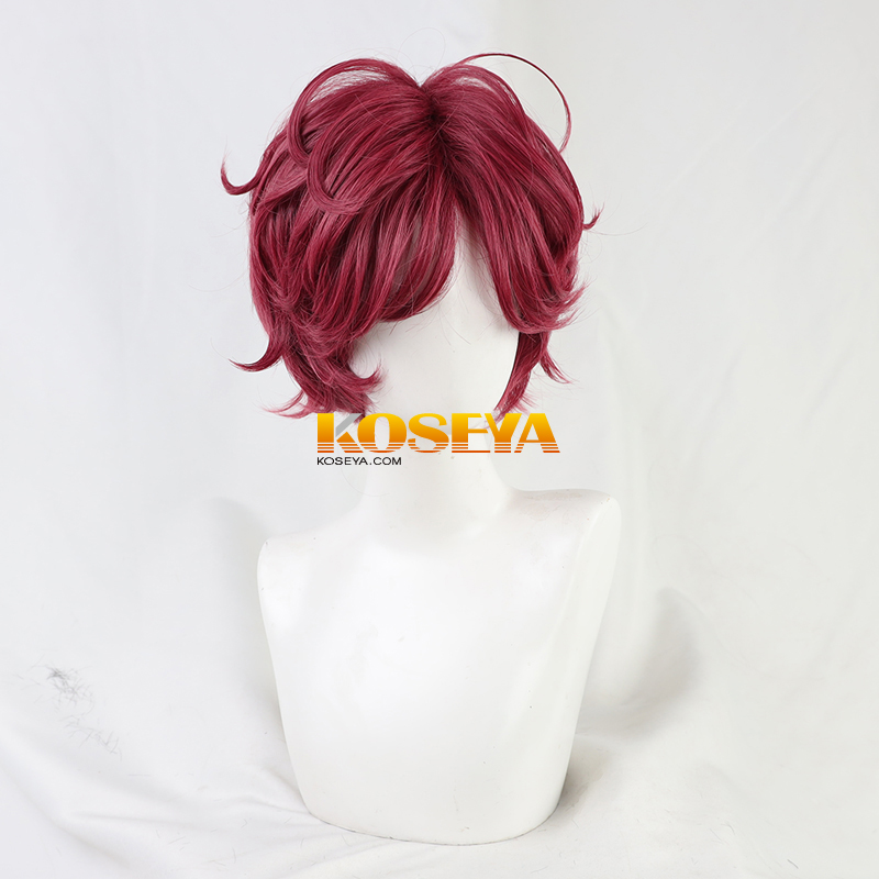 魔法使いの約束 ウィッグ】まほやく 西の国 クロエ 風 コスプレ