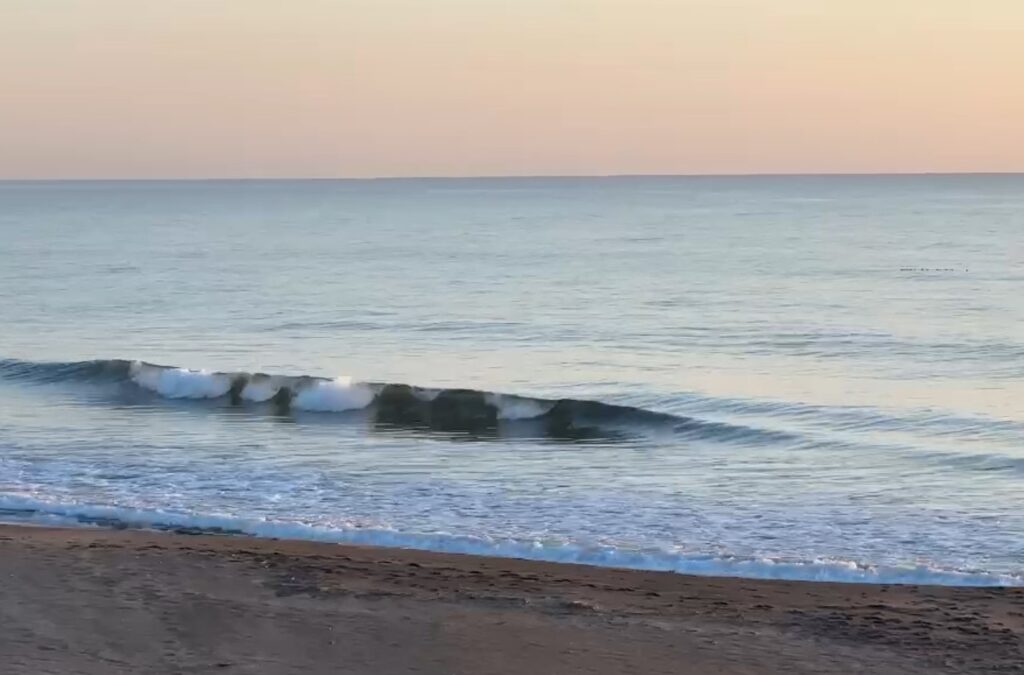 1月16日(金) 九十九里 一松海岸 波情報 | 波情報 | 最新情報 | 15年