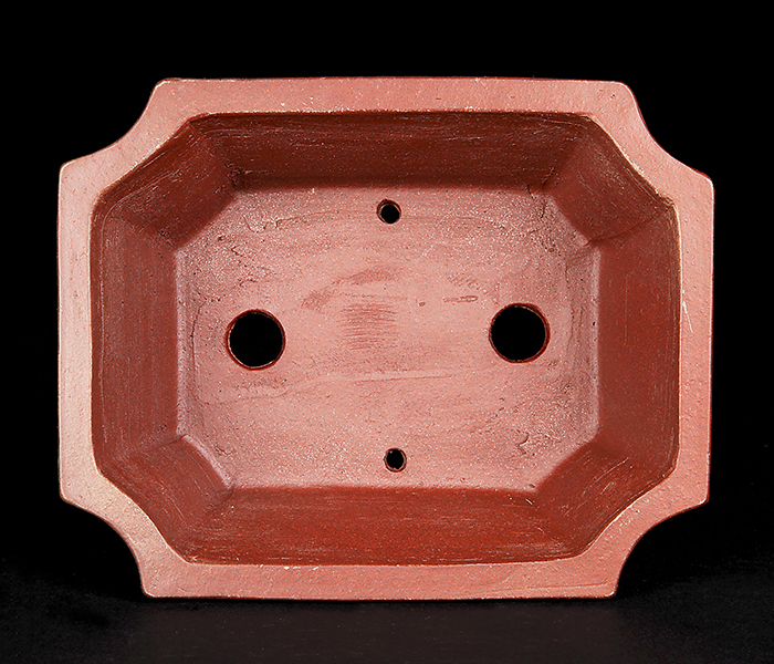 柴勝外縁隅切額面長方鉢 | 盆栽、盆栽書籍、盆栽鉢の通販│近代出版