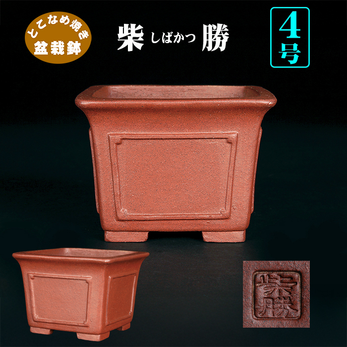 柴勝額面正方鉢 | 盆栽、盆栽書籍、盆栽鉢の通販│近代出版