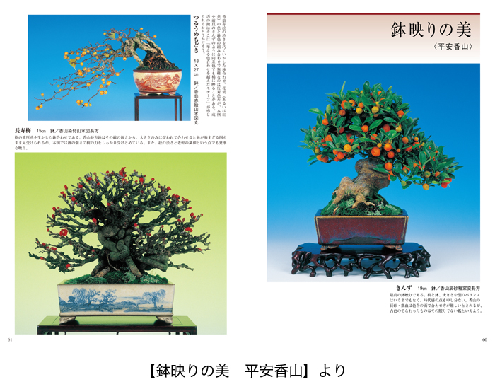 盆栽名鉢シリーズ2「月之輪涌泉・平安香山」 | 盆栽、盆栽書籍、盆栽鉢