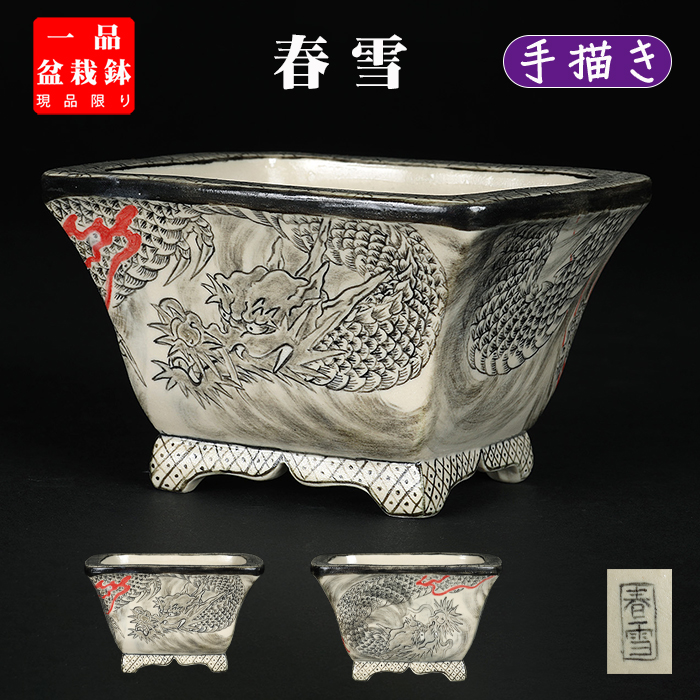 春雪墨絵龍図長方鉢 | 盆栽、盆栽書籍、盆栽鉢の通販│近代出版