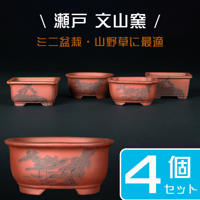 お得なセット鉢 | 盆栽、盆栽書籍、盆栽鉢の通販│近代出版
