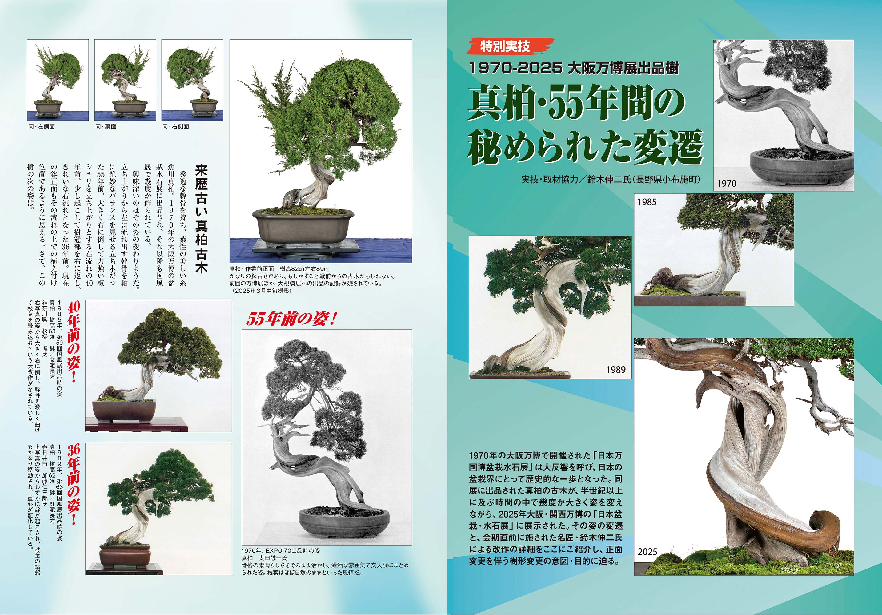 月刊「近代盆栽」2025年11月号 | 盆栽、盆栽書籍、盆栽鉢の通販│近代出版