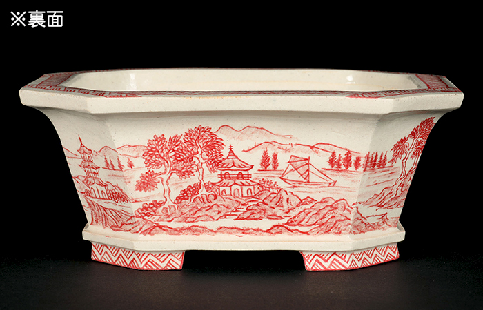 高山赤絵山水図長方鉢 | 盆栽、盆栽書籍、盆栽鉢の通販│近代出版