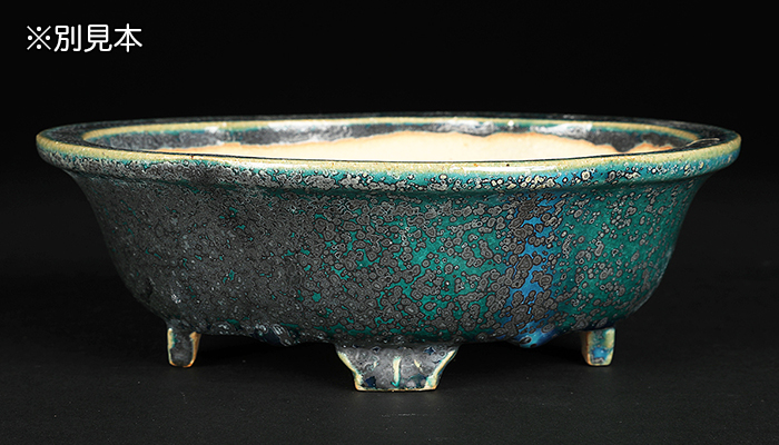 鴻陽織部釉木瓜式鉢 | 盆栽、盆栽書籍、盆栽鉢の通販│近代出版