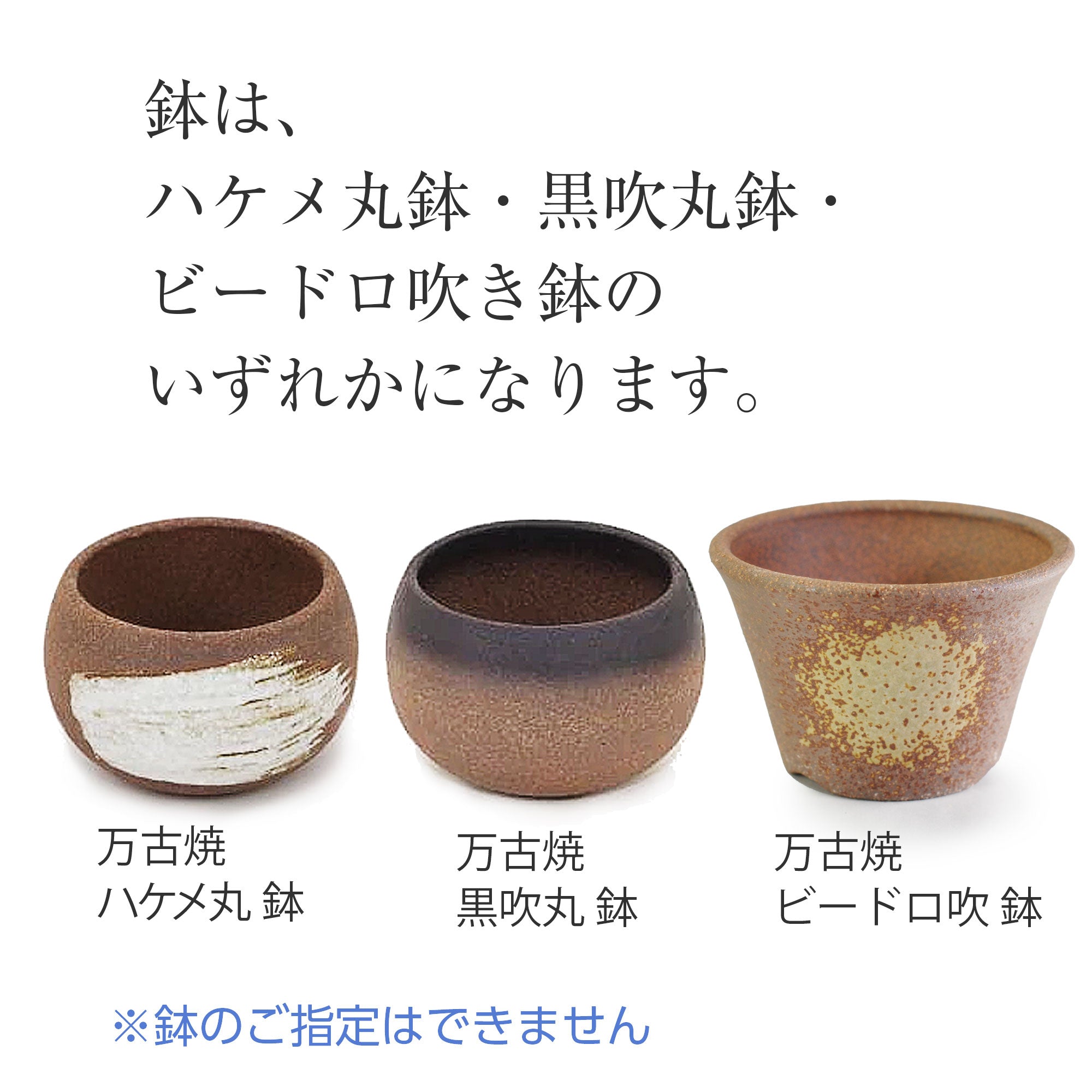 山もみじ ハケメ丸鉢を販売｜入門は盆栽妙 – 盆栽妙 本店