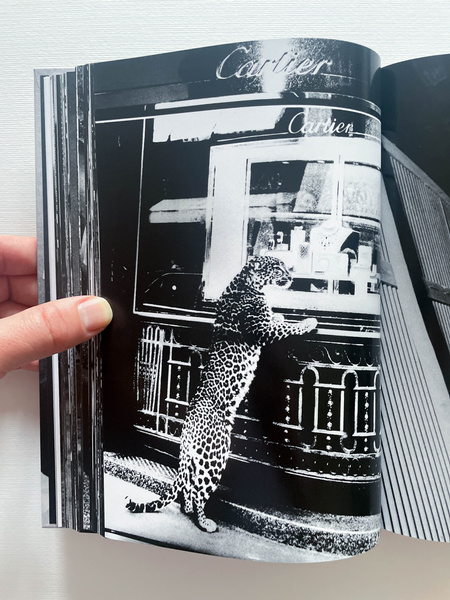 Daido Moriyama: The World through My Eyes | Photography