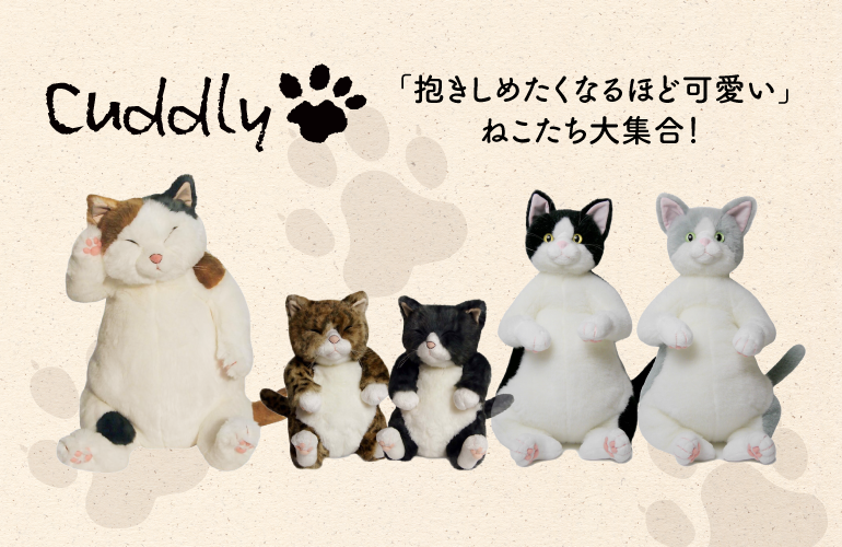 成城店】ねこのぬいぐるみフェア開催！ | 三省堂書店