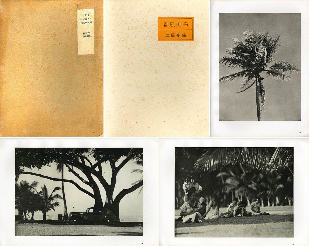 布哇風景 / 写真：福原信三 | 小宮山書店 KOMIYAMA TOKYO | 神保町