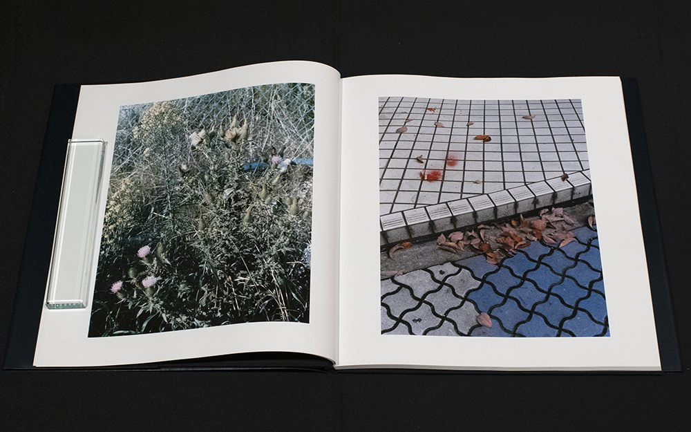 サイン入】MAP / 佐内正史 | 小宮山書店 KOMIYAMA TOKYO | 神保町 古書