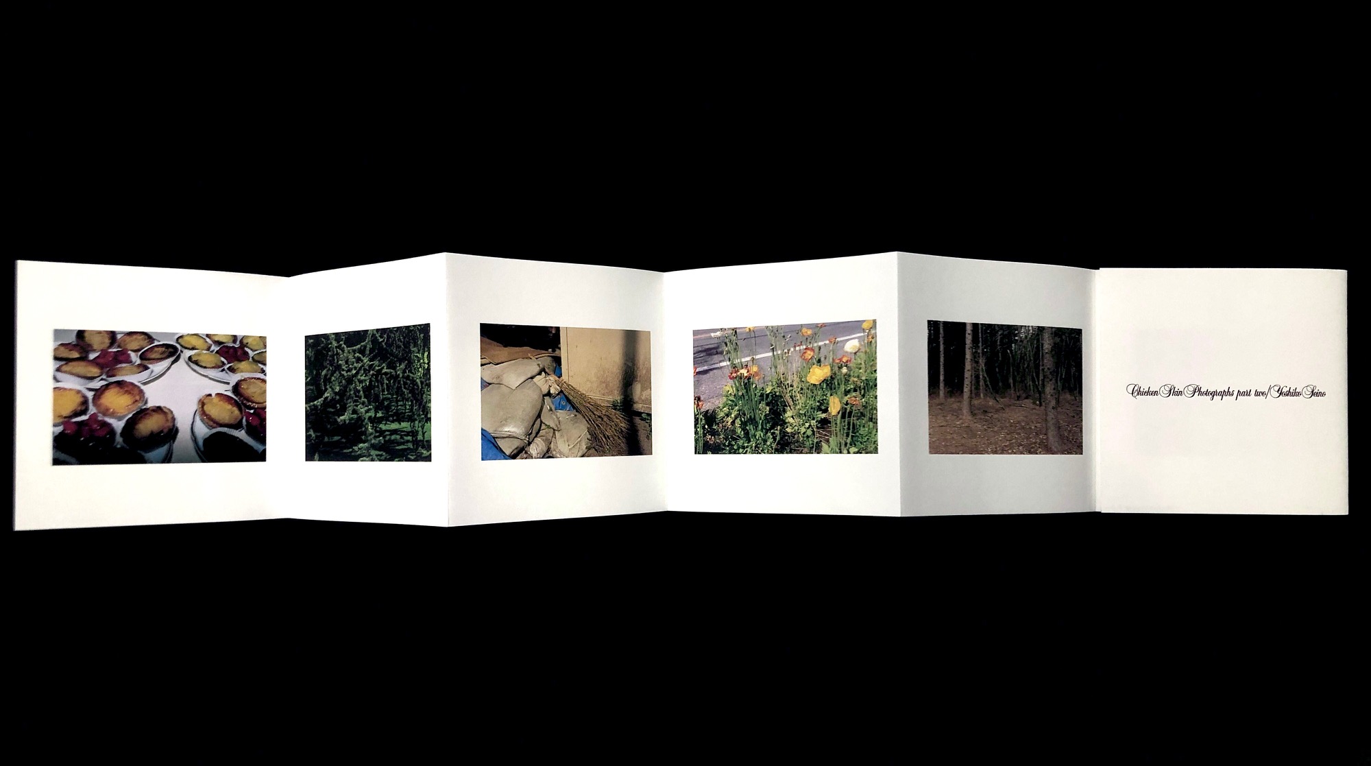 Chicken Skin Photographs part two / 写真：清野賀子 デザイン：石崎