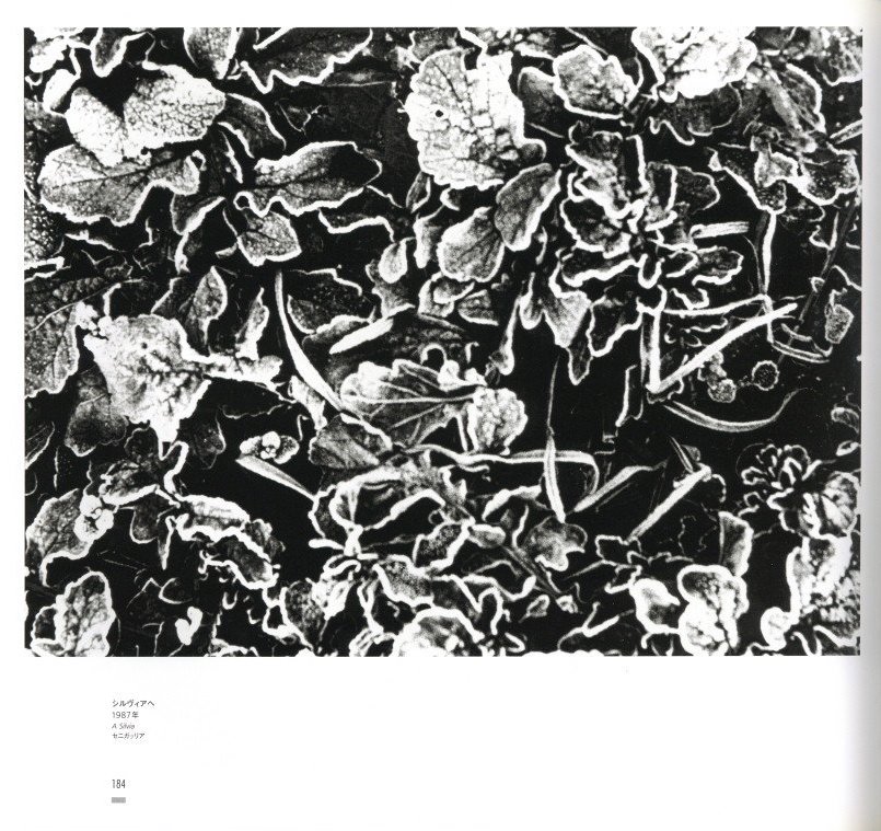 MARIO GIACOMELLI 黒と白の往還の果てに / 著：マリオ・ジャコメッリ