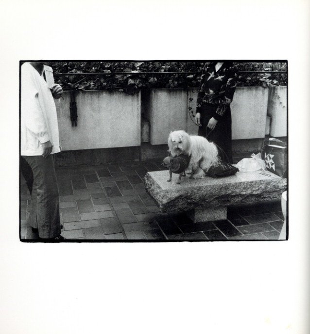 写真機無音 カメレオン / 著：後藤田三郎 | 小宮山書店 KOMIYAMA TOKYO