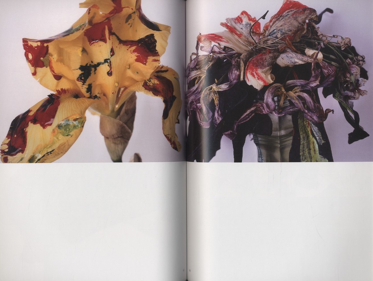 荒木経惟 熊本ララバイ / 写真：荒木経惟 | 小宮山書店 KOMIYAMA TOKYO