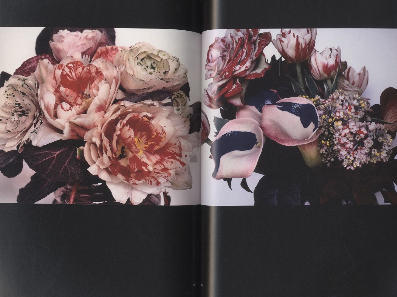 荒木経惟 熊本ララバイ / 写真：荒木経惟 | 小宮山書店 KOMIYAMA TOKYO