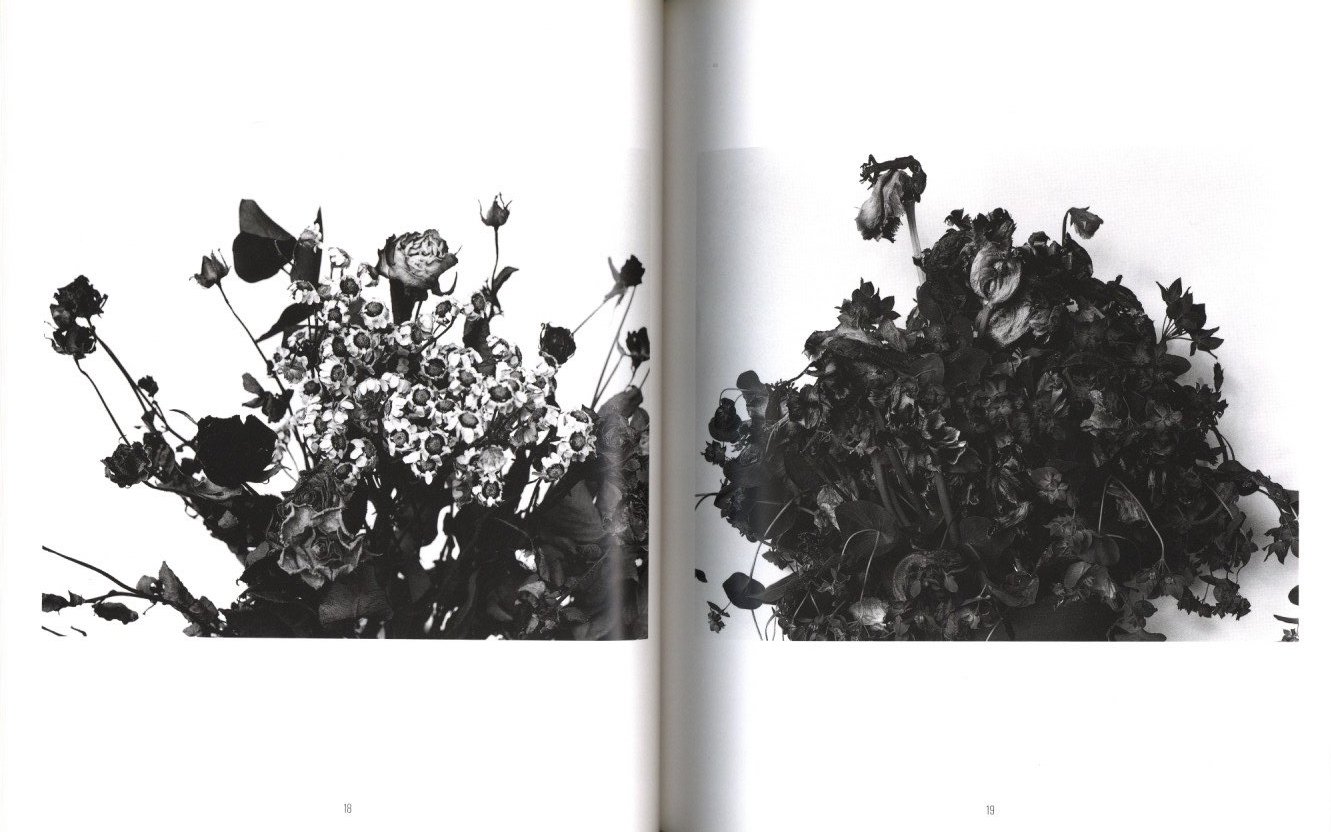 花陰 / 著：荒木経惟 | 小宮山書店 KOMIYAMA TOKYO | 神保町 古書