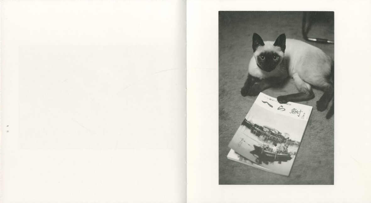 Wonderful Days / 写真：深瀬昌久 編集人：大田通貴 | 小宮山書店