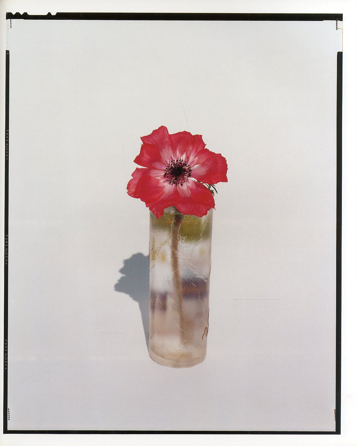 YOSHIHIKO UEDA : FLOWERS / 著：上田義彦 文：伊藤俊治 装幀：葛西薫