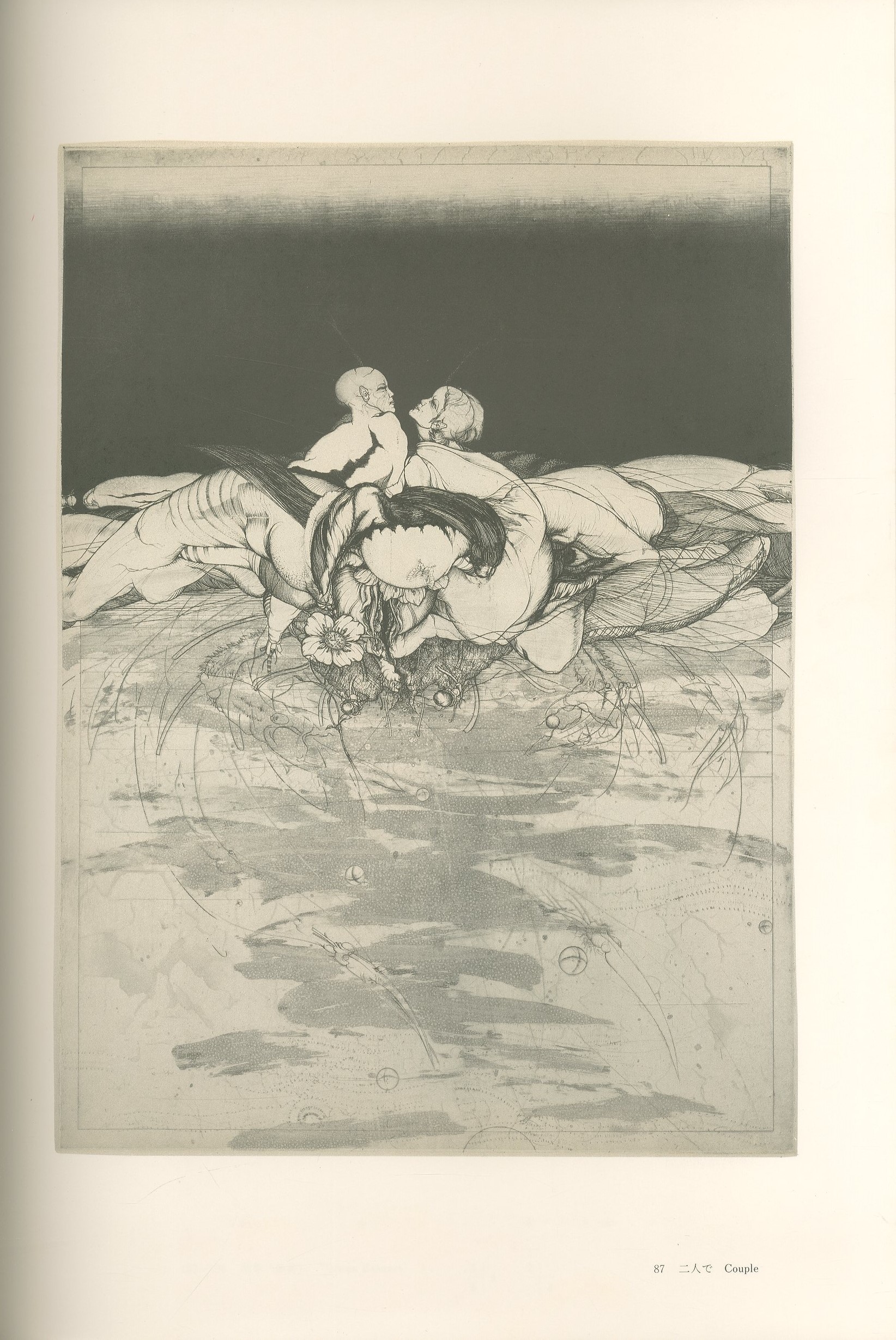 多賀新 全作品集 1971-1983 / 多賀新 | 小宮山書店 KOMIYAMA TOKYO