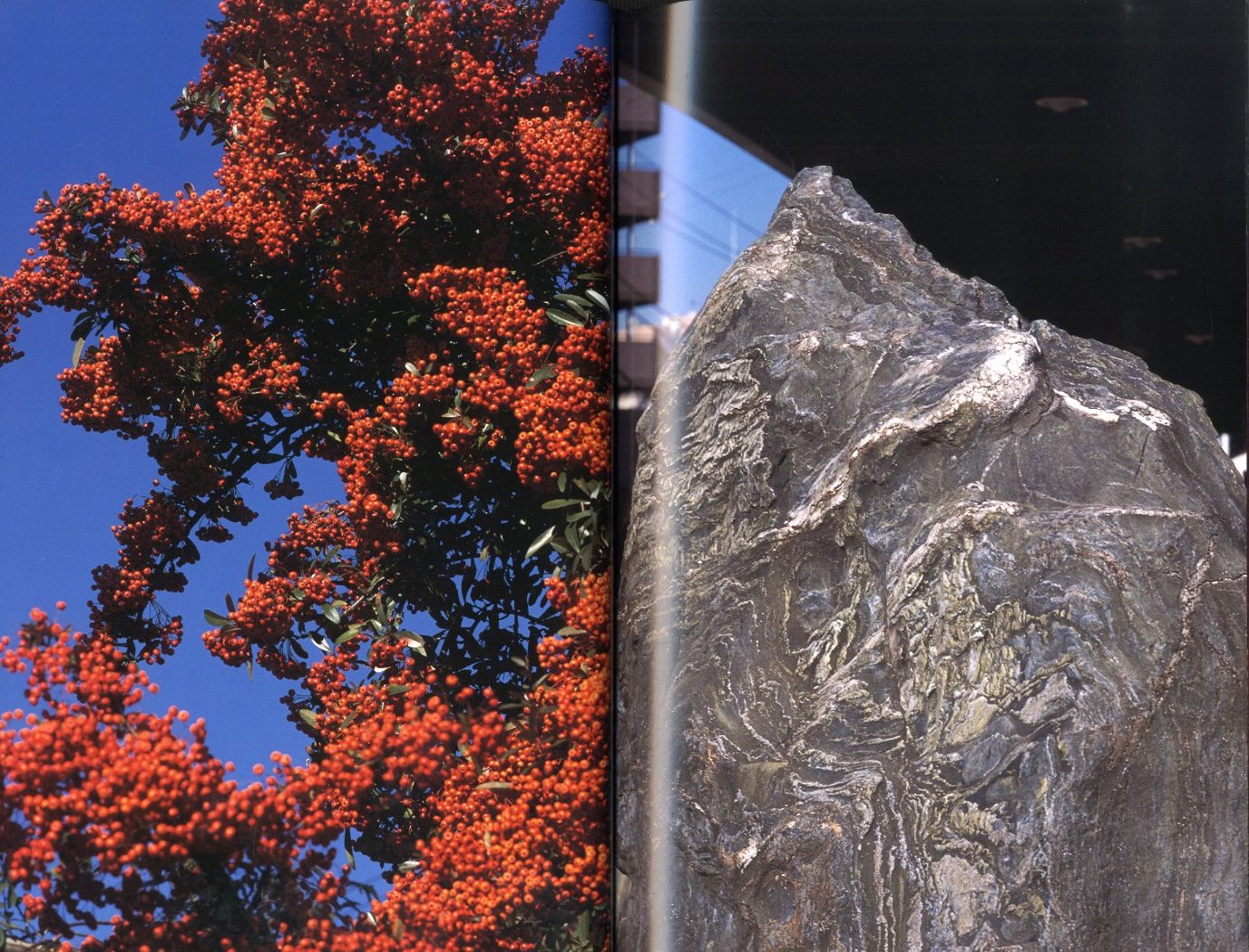 Documentary / 中平卓馬 | 小宮山書店 KOMIYAMA TOKYO | 神保町 古書