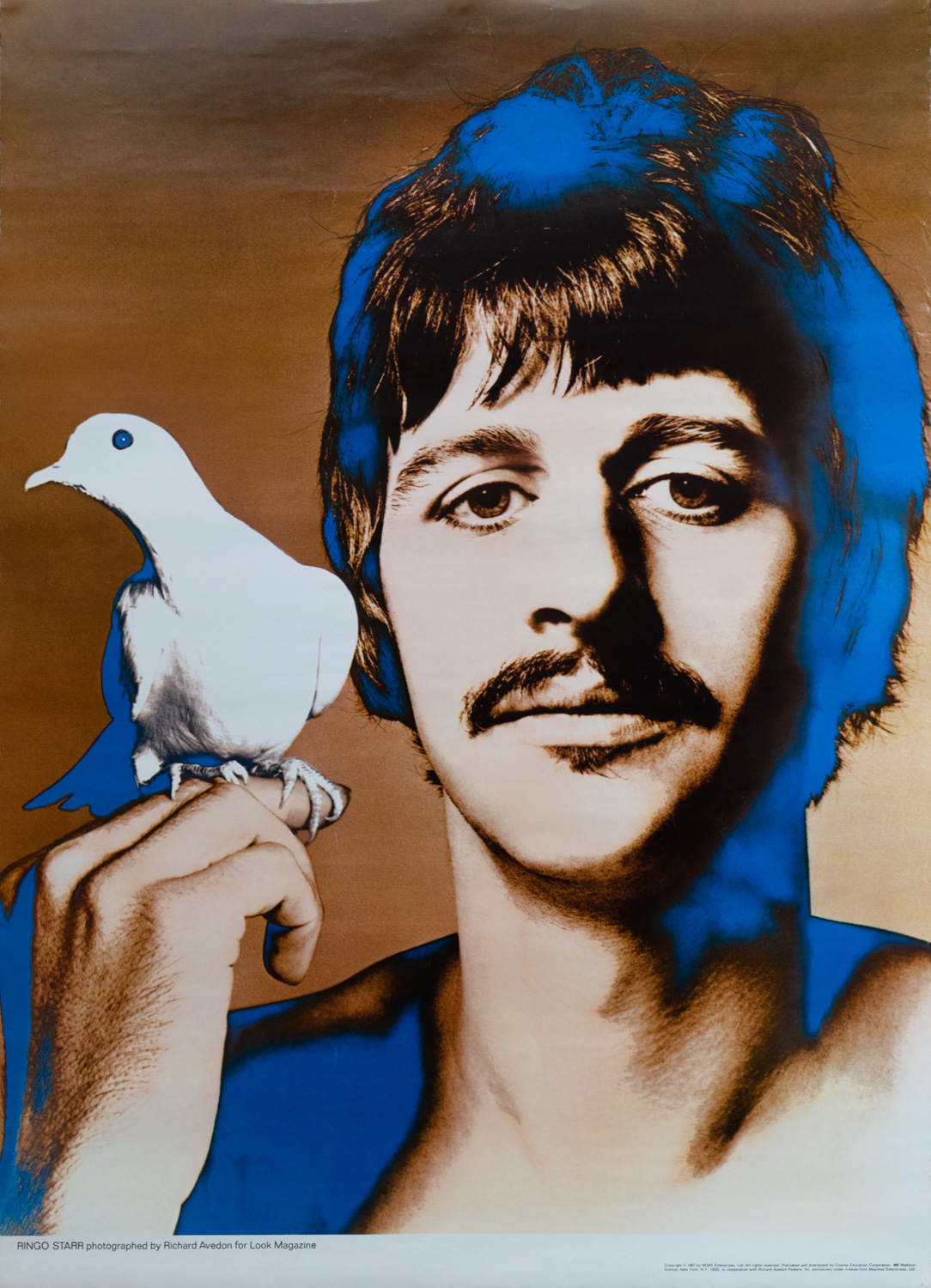 The Beatles / Richard Avedon | 小宮山書店 KOMIYAMA TOKYO | 神保町