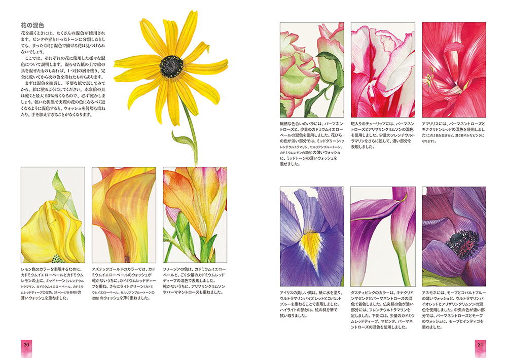 ビリー・ショーウェルのわかりやすいボタニカルアート | 株式会社