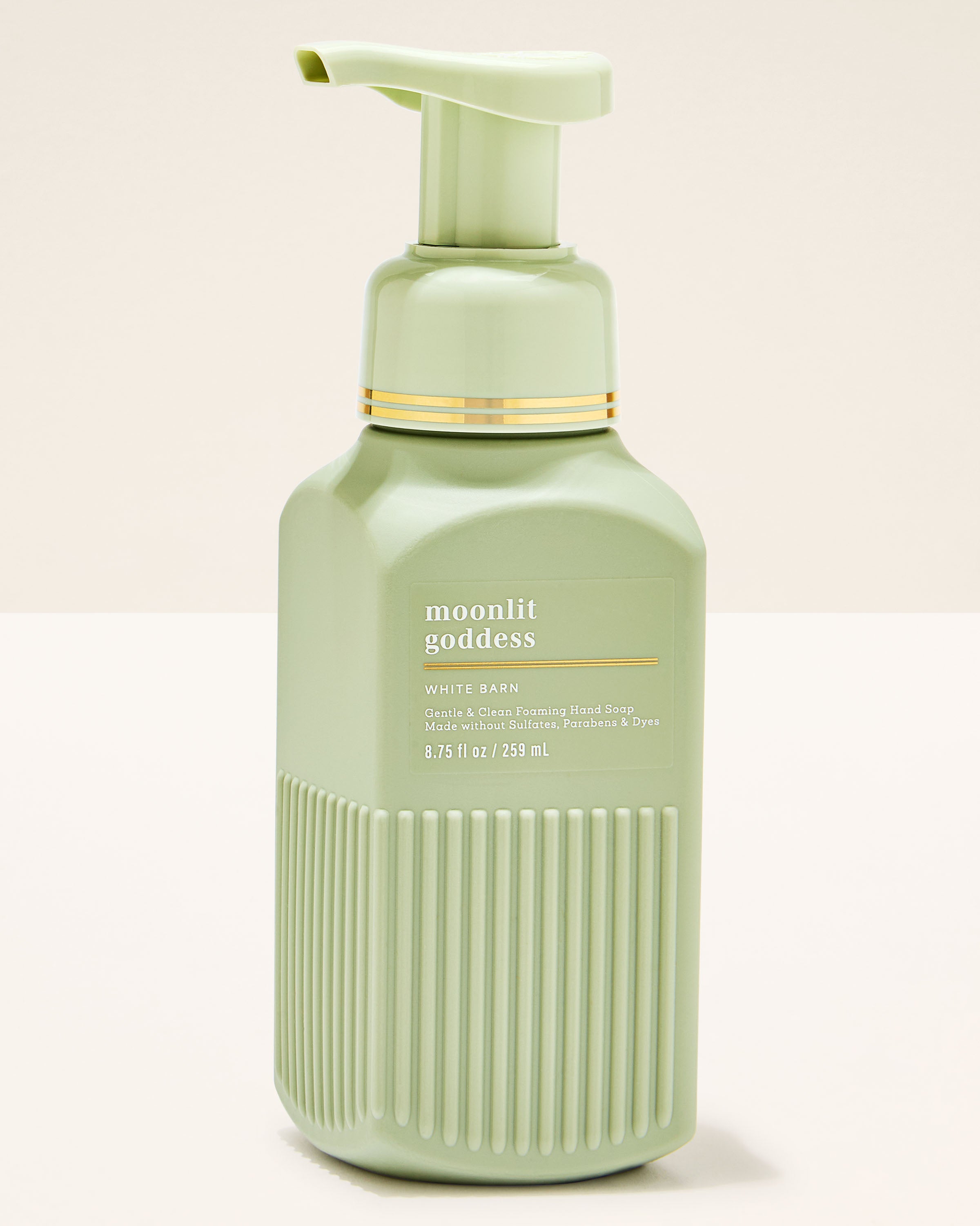 Bath & Body Works Mountainside Mist Gentle & Clean Foaming Hand