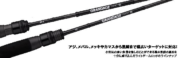 アピア グランデージライト C76 APIA GRANDAGE LITE - 【バス