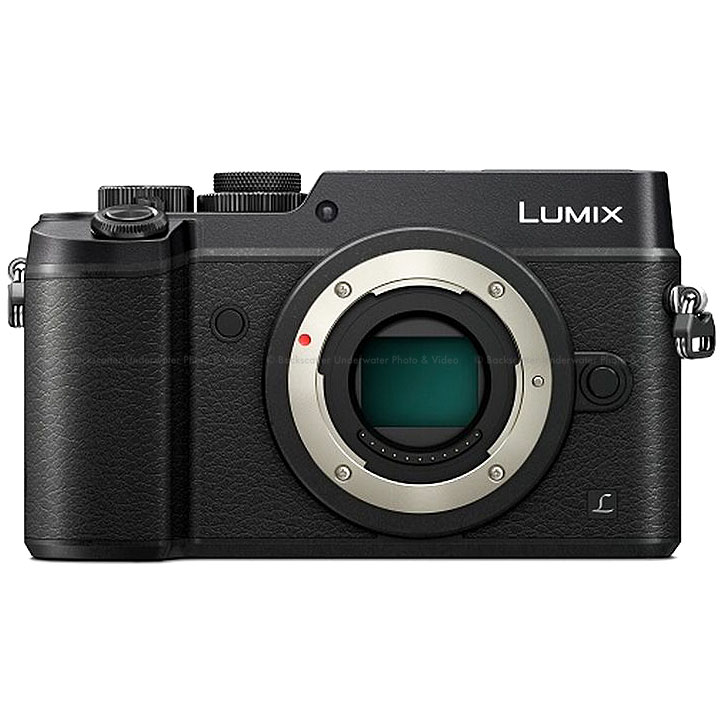 Panasonic LUMIX GX8 Mirrorless Micro 4/3 Camera - Black Body Only